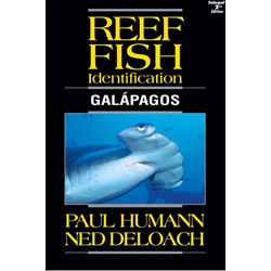 Reef Fish Id Galapagos